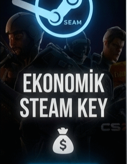 Ekonomik Steam Key